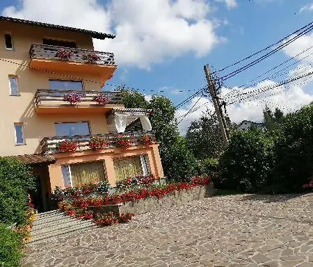 Pensiunea Transilvania بيت ضيافة *