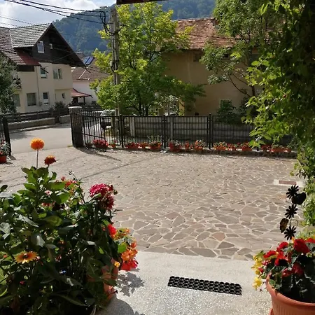 بيت ضيافة Pensiunea Transilvania *