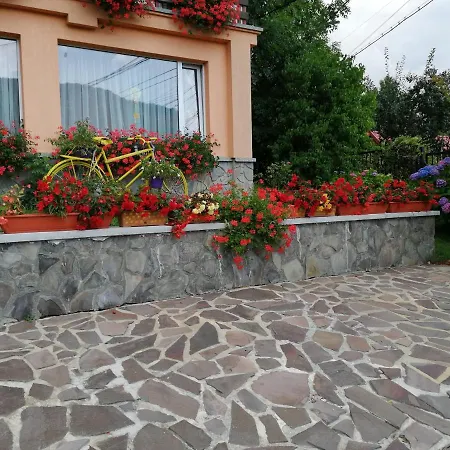 Pensiunea Transilvania Affittacamere Bran (Brasov)