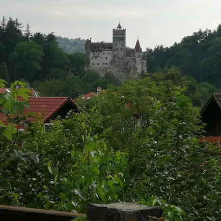 Affittacamere Pensiunea Transilvania Bran (Brasov)