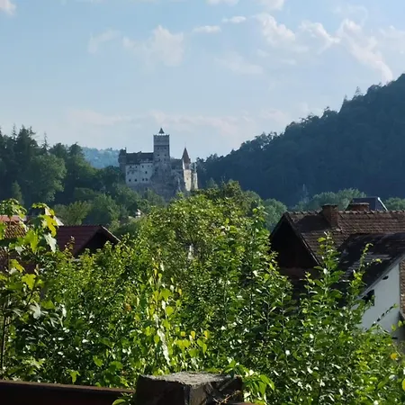 Pensiunea Transilvania بيت ضيافة